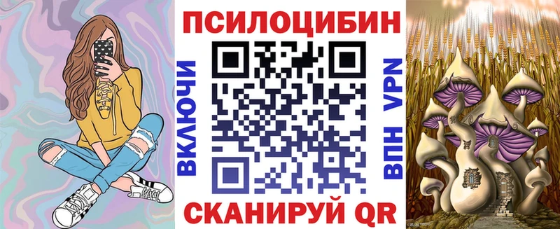 Псилоцибиновые грибы ЛСД купить наркотики сайты Беломорск